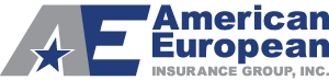 American European Insurance Group Logo